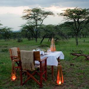 Private Bush Dinner in the Maasai Mara National Reserve