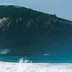 The Wedge