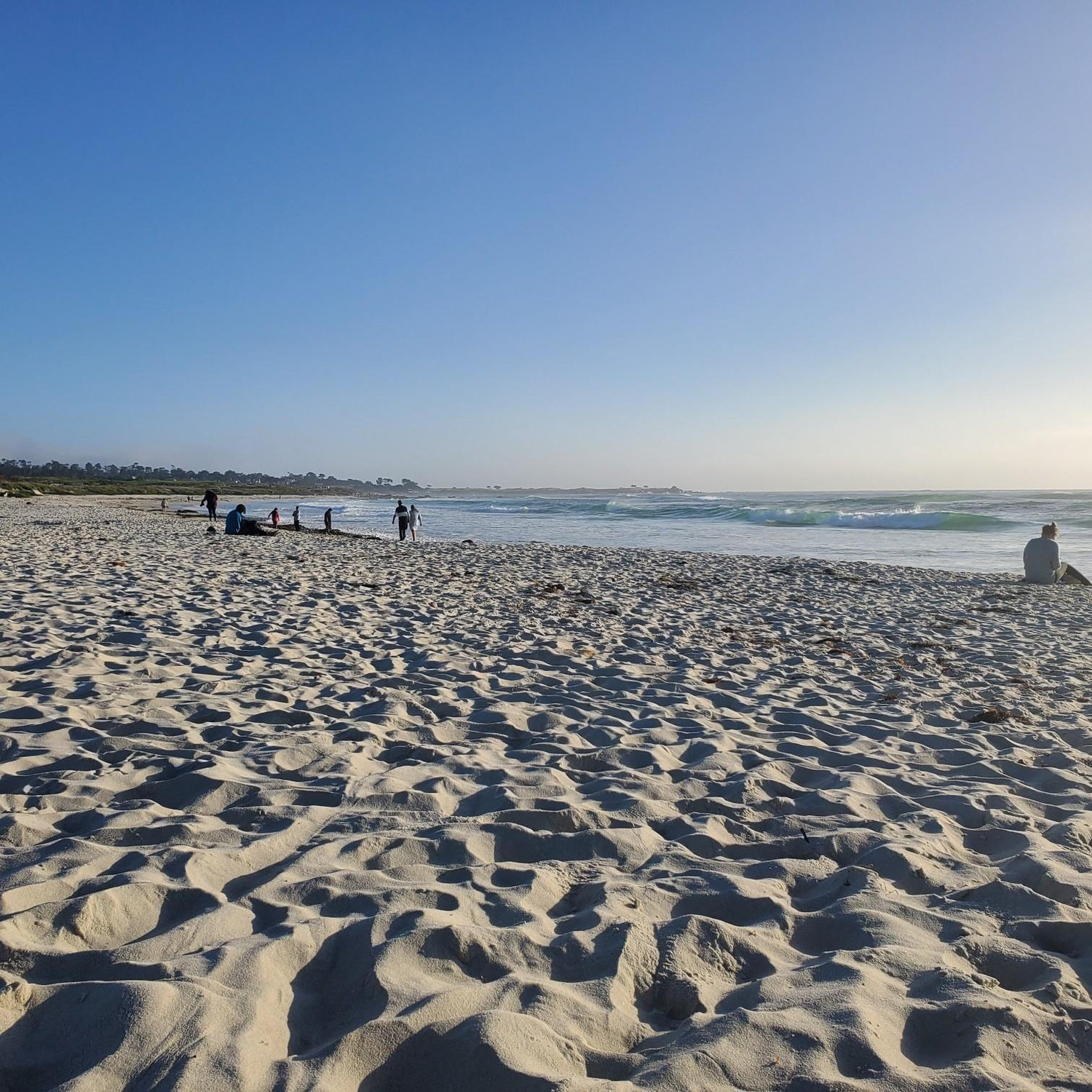 Asilomar State Beach...where we got engaged! "Asilomar" translates to "Refuge by the Sea" and is in the Monterey Bay area in California.