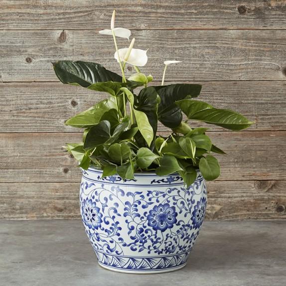 Blue & White Ceramic Planter, Extra Large