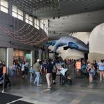 Aquarium of the Pacific