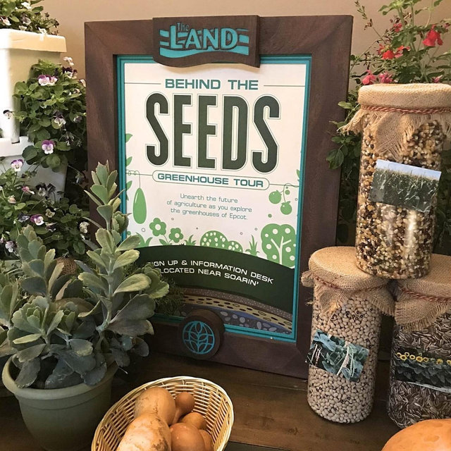 Date day behind the seeds tour