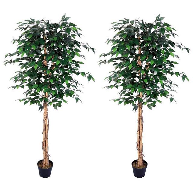 AMERIQUE AM0912FC6FTPK2 Gorgeous Ficus Trees Artificial Silk Plant, 6', Emerald Green