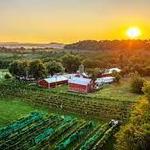 Galena Cellars Vineyard
