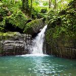 🌿 El Yunque Rainforest