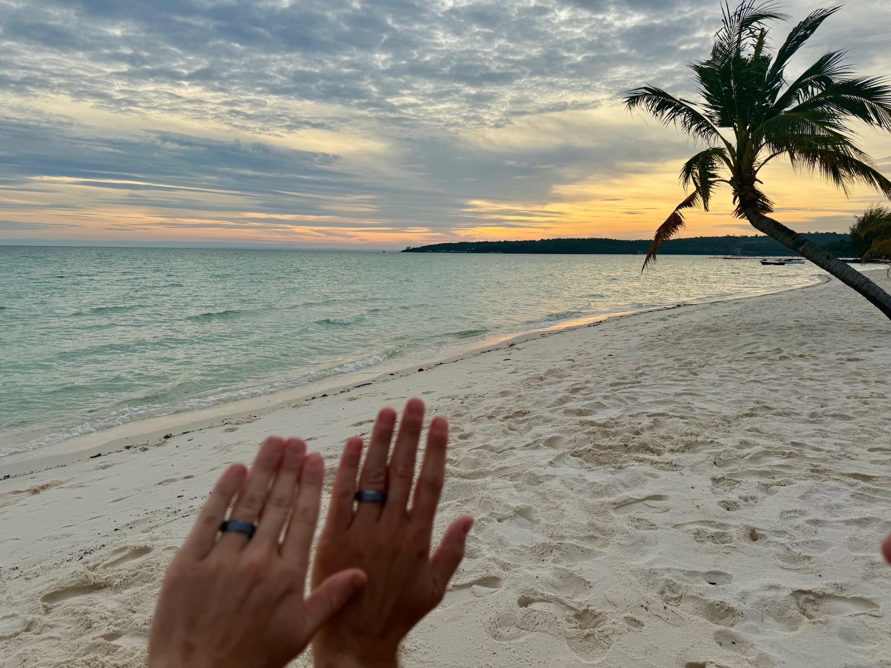 The Wedding Website of William Overman Wooten Jr and Marcus Kilian Neith