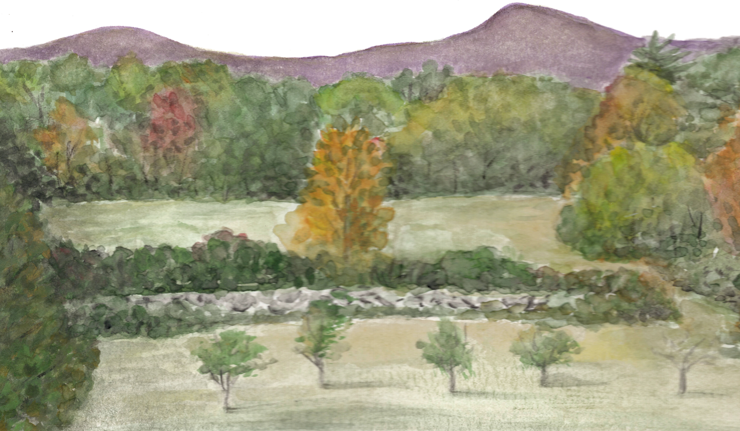 Footer image