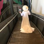 Nevada Museum of Art