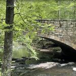 Umstead State Park