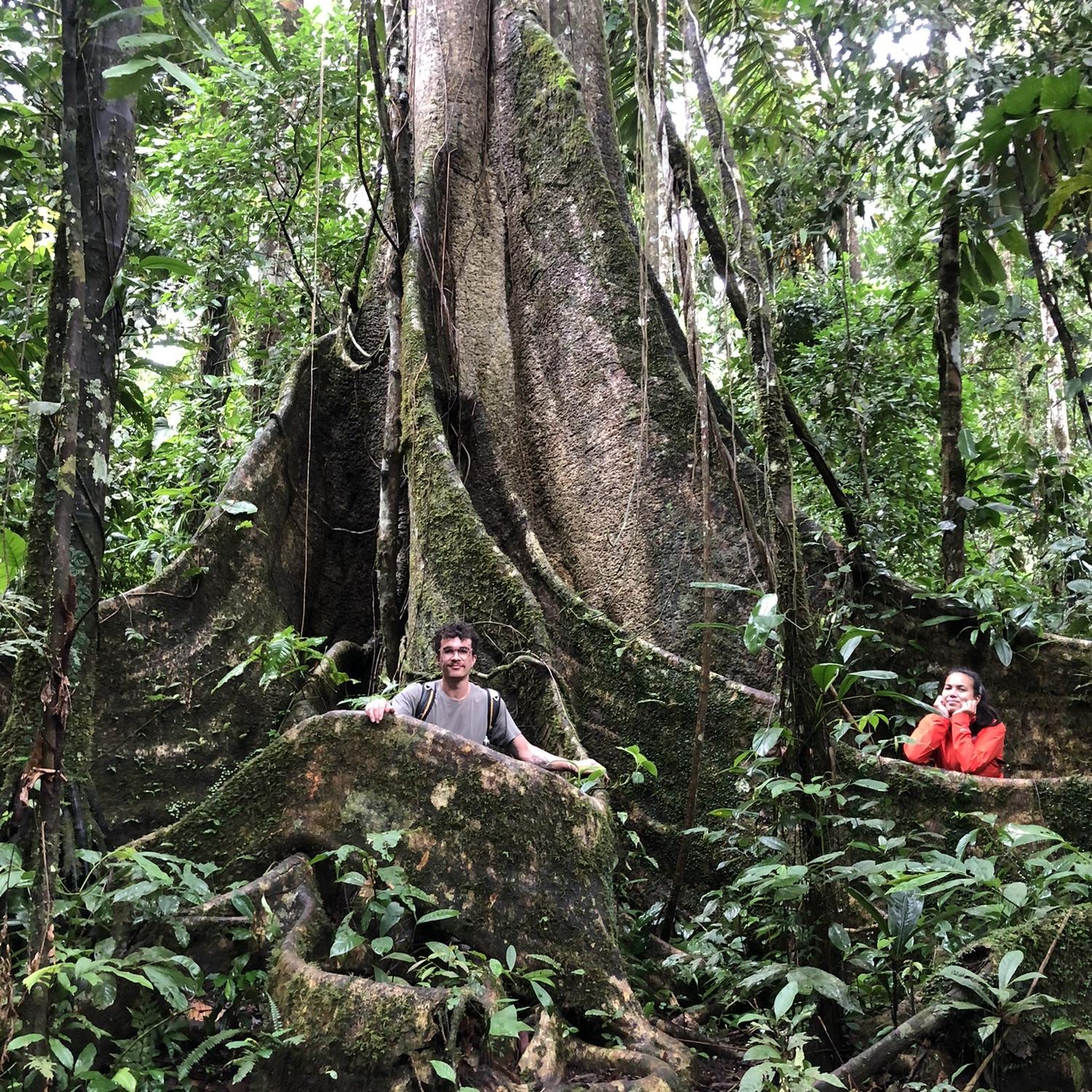 In front of an ironwood tree in the Amazon