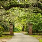 Charles Towne Landing State Historic Site