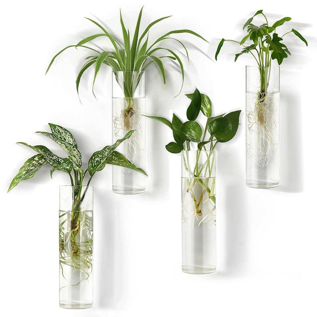 Mkono Wall Planter Propagation Station Hanging Glass Tubes Flower Vase for Hydroponics Plants, Bathroom, Home Office Living Room Decor Gift, Cylinder Set of 4