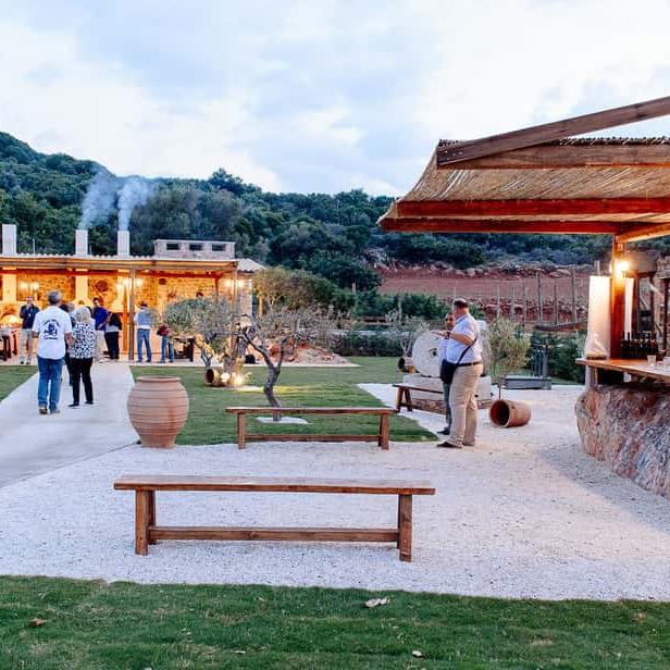 Olive Oil & Wine Experience in Peloponnese