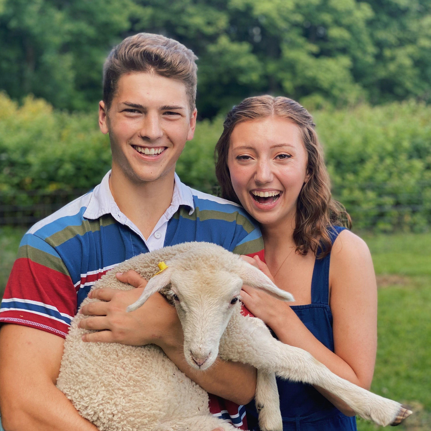 August 2020 - Covid brought online school and road trips. Trip up to Mattias' uncle Dan and aunt Traci's lovely sheep farm.