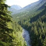 Golden Ears Provincial Park