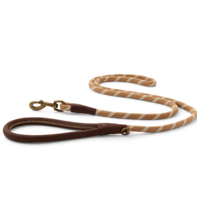 Reddy Rope Dog Leash, Burgundy, 6-ft long, 1/2-in wide | Petco