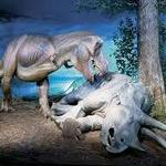 Milwaukee Public Museum
