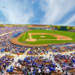 Cactus League Spring Training
