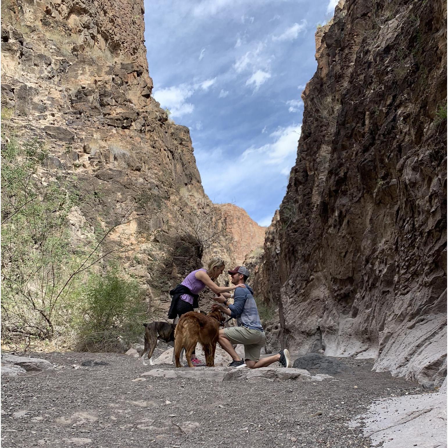 She said Yes! 
Big Bend Ranch State Park, February 23, 2020
