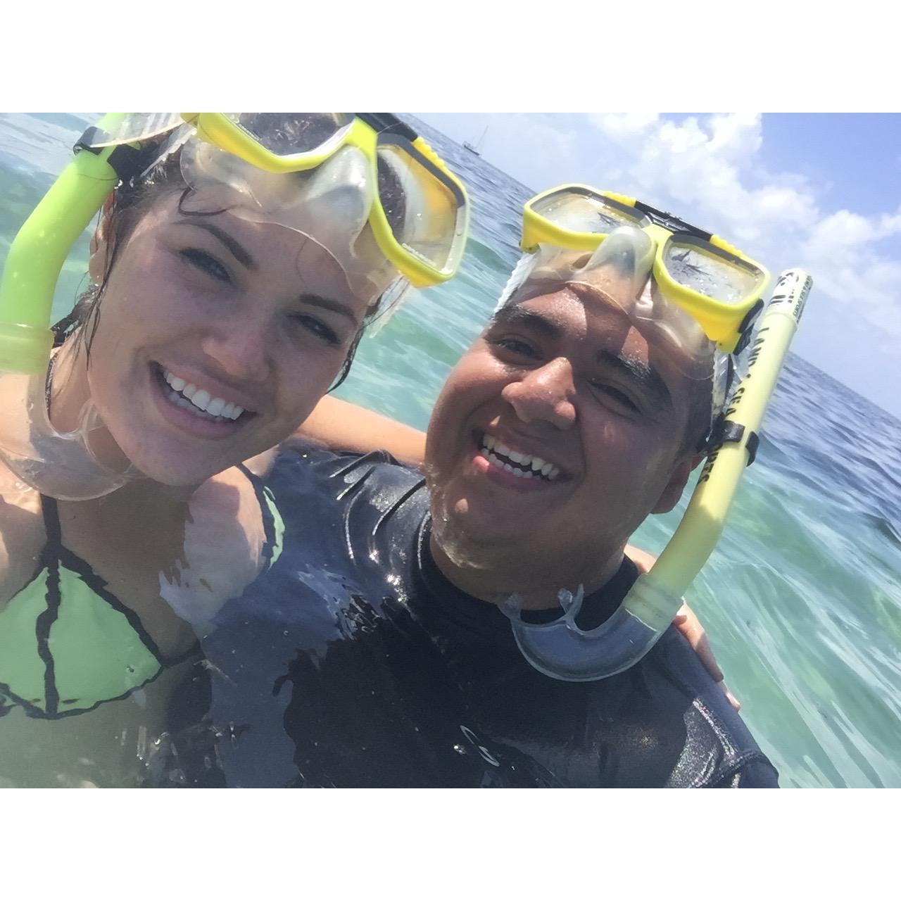 snorkeling in the great barrier reef