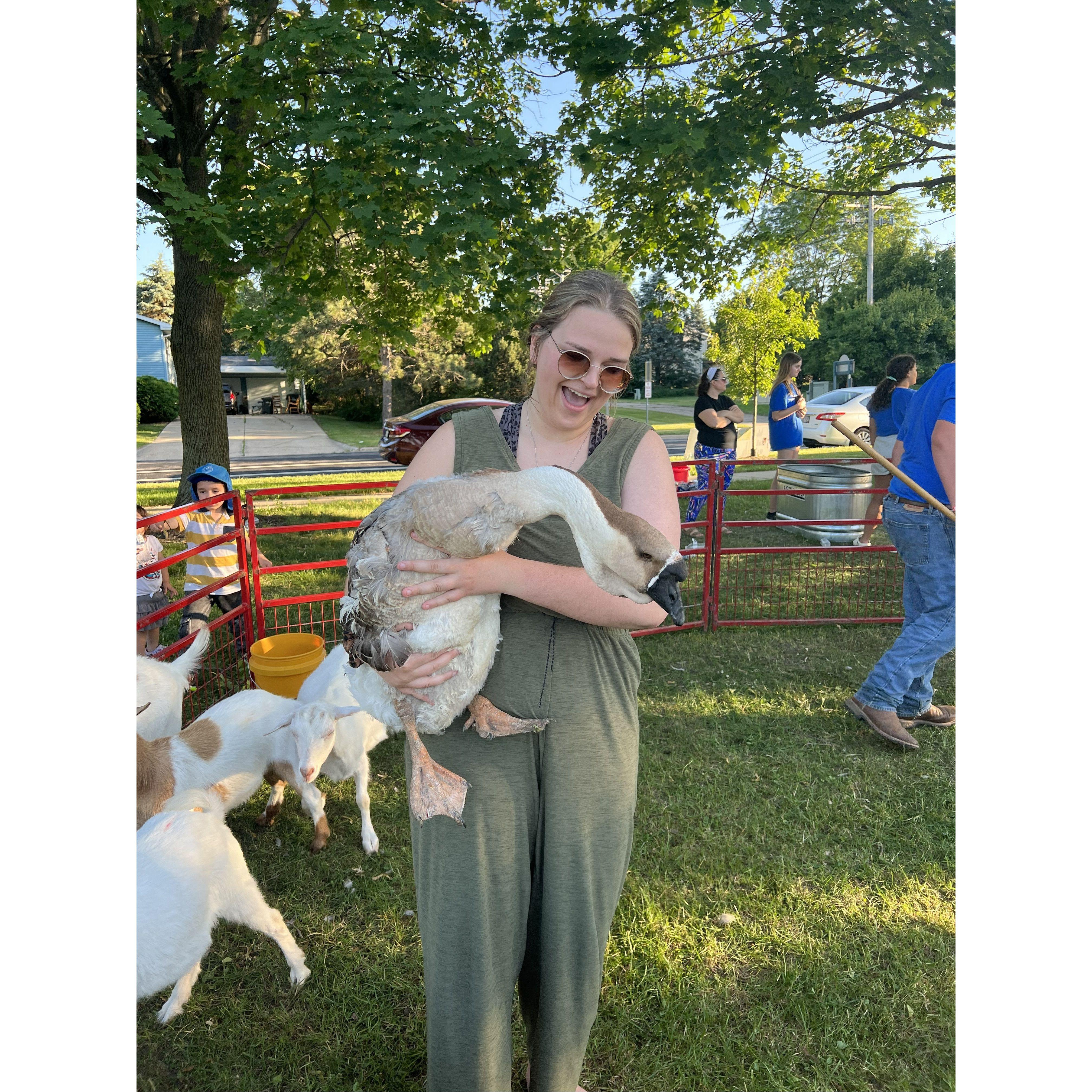 2022 - the park across the street from our Wisco house always had fun events. Like bringing us a personal goose petting zoo!!