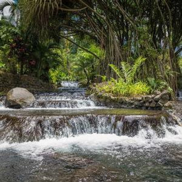 Hot Springs & Spa Day pass