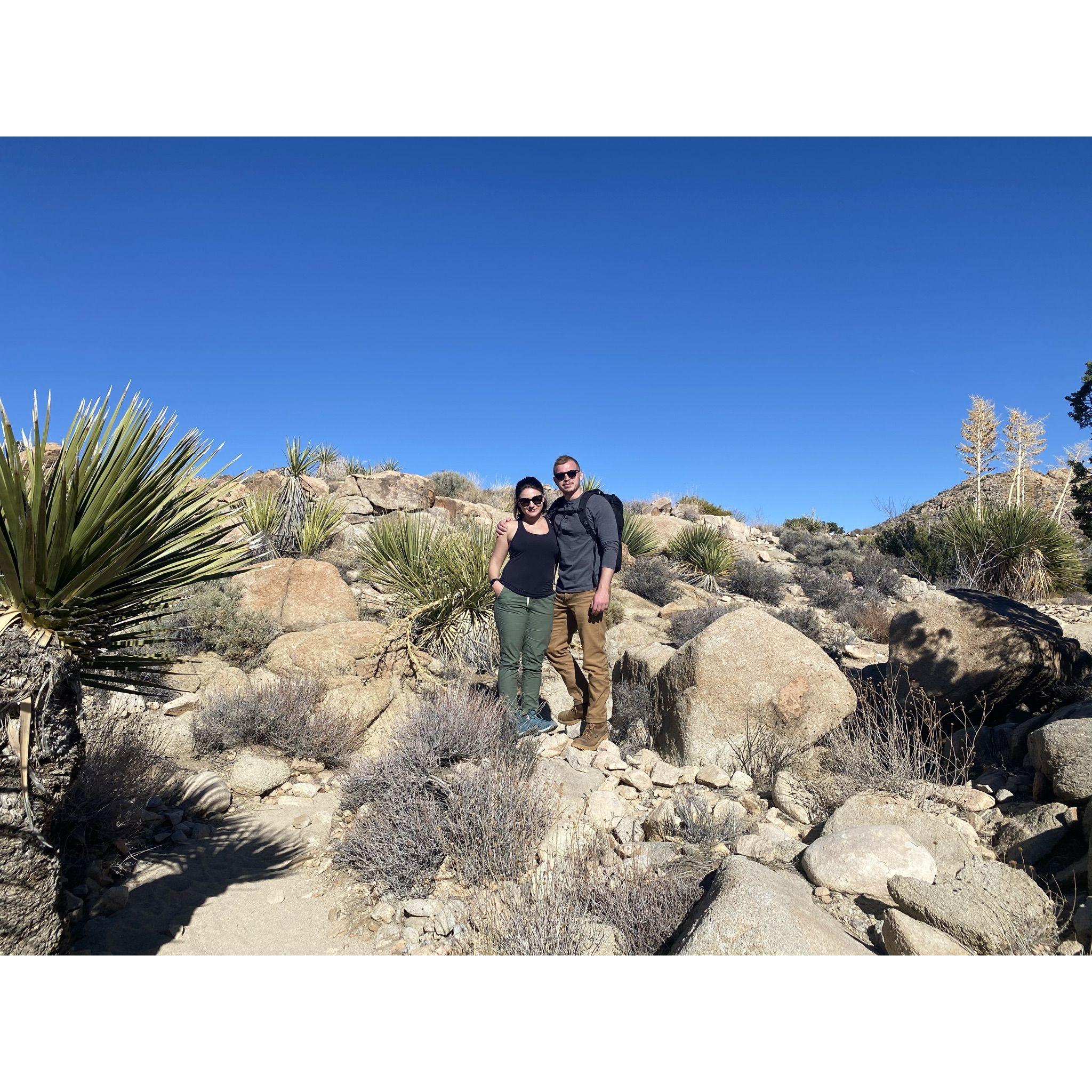 Joshua Tree