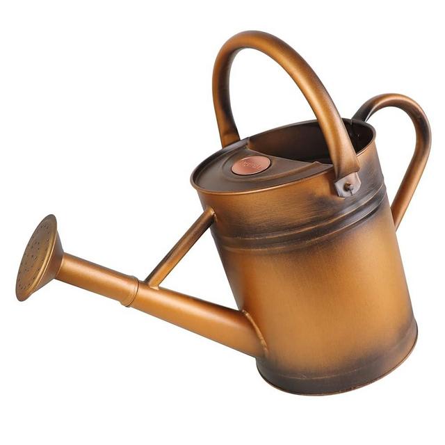 Sporgard 1 Gallon Galvanized Steel Watering Can with Removable Spout for Outdoor and Indoor Gardening, Metal Watering Can,Watering Pot (Bronze), Gift & Decoration