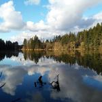 Lacamas Lake