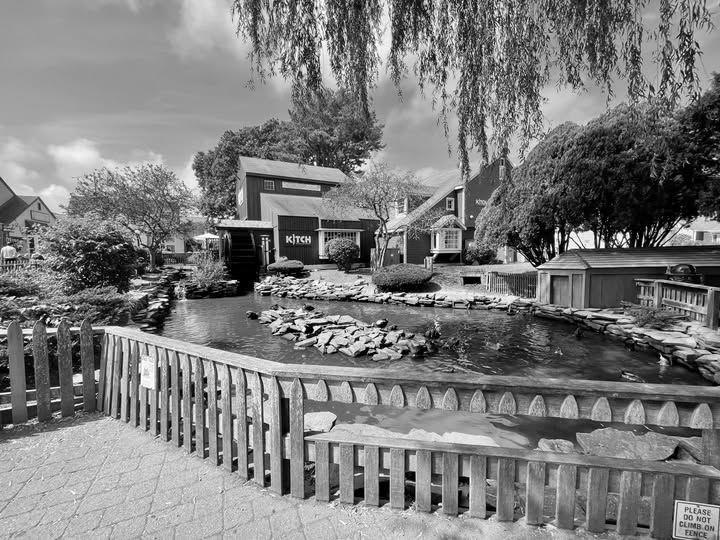 The Wedding Website of Elizabeth Harten and Joseph Cetrone