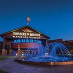 Wonders Of Wildlife National Museum & Aquarium