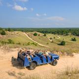 Saugatuck Dune Rides