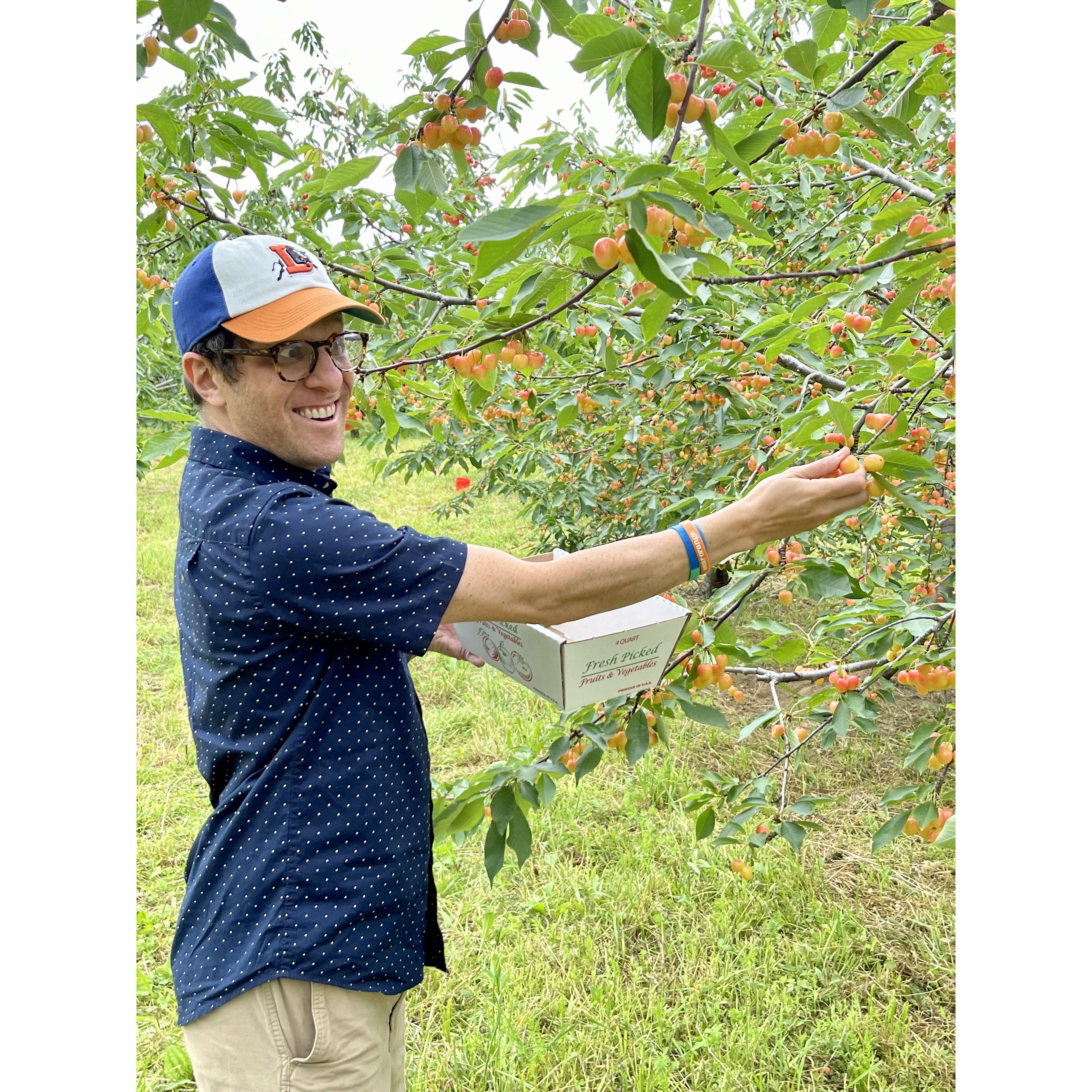 Cherry picking upstate