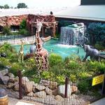 Jungle Jim's International Market