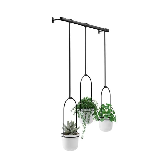 Umbra Triflora Hanging Planter