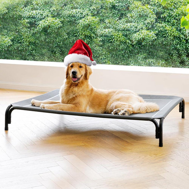 Elevated Dog Bed Raised Outdoor Dog Cot for Extra Large Dogs, Installation Requires No Tools, Frame with Washable Cooling Breathable Mesh Anti-Slip Feet, Indoor Pet Bed, Grey, 48.8 Inches