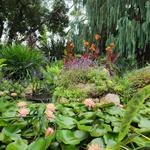 San Diego Botanic Garden