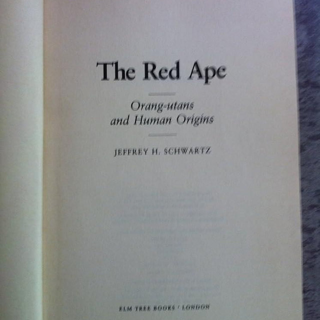 The Red Ape: Orang-Utans and Human Origins