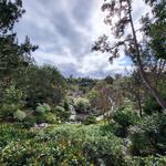 Balboa Park