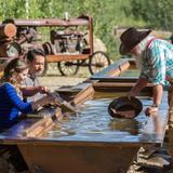 Gold Dredge 8