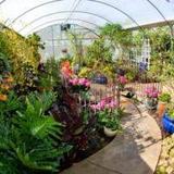 Lukas Nursery & Butterfly Encounter