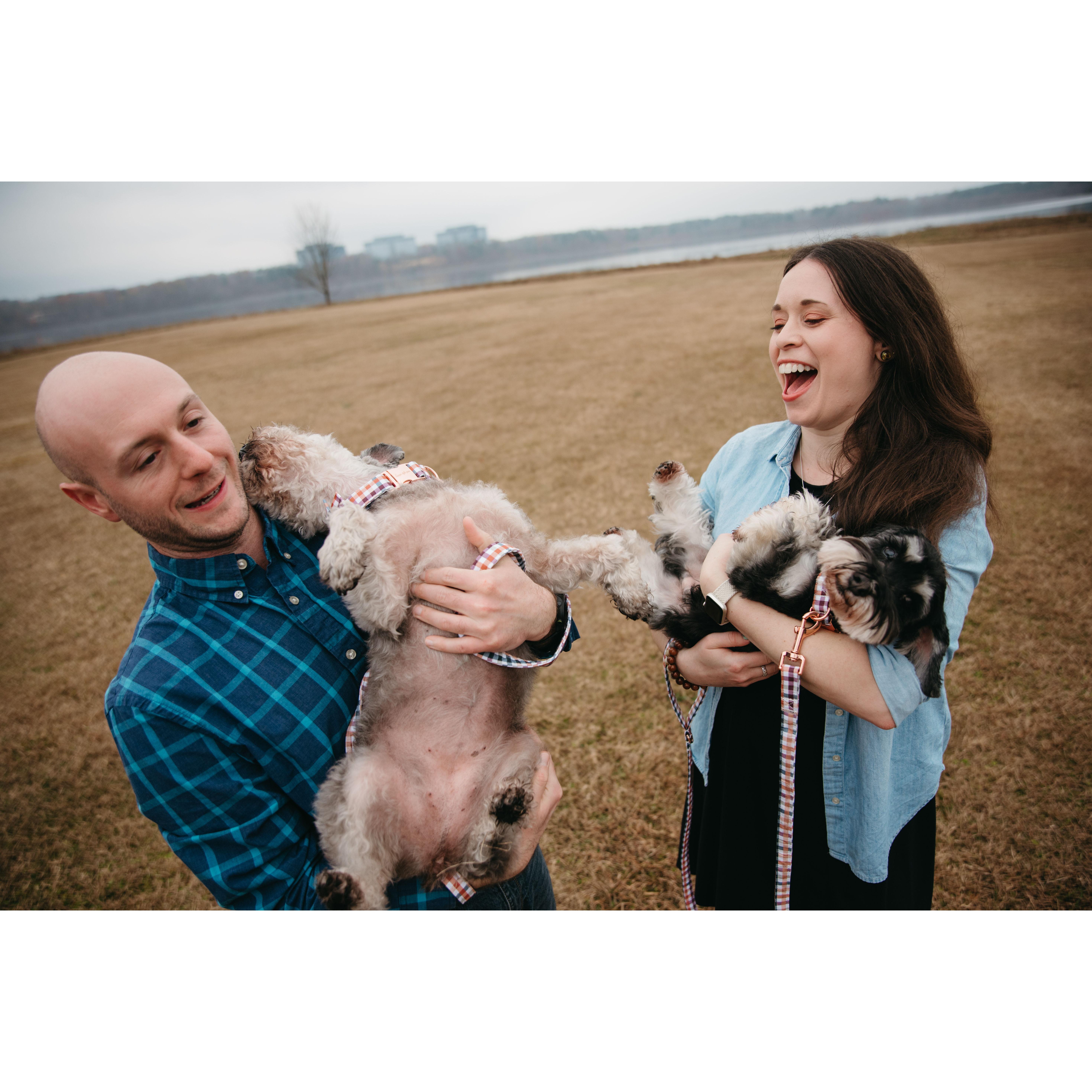 2023 The furry goofballs were extra goofy during our engagement shoot.