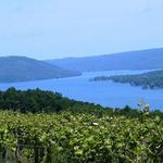 Keuka Lake Wine Trail