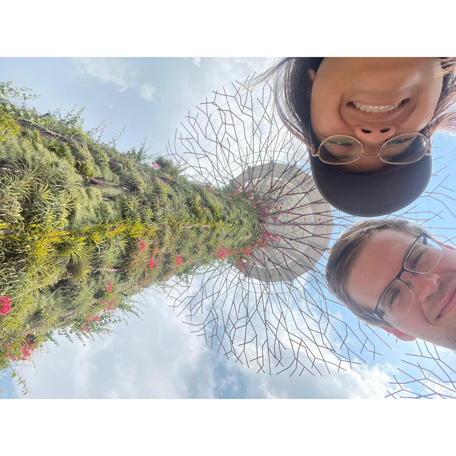(2024) Cloud Forest in Singapore