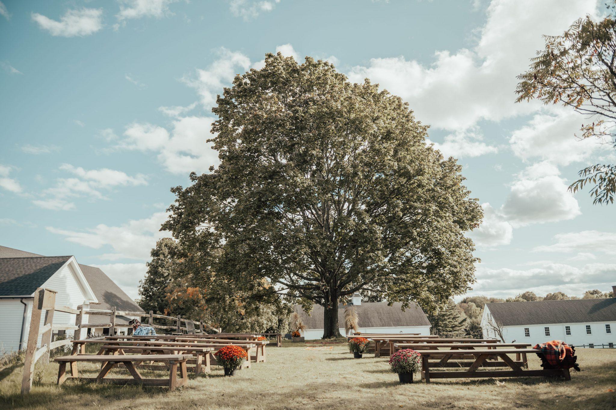 The Wedding Website of Lily Wasserman and Steve Panacek