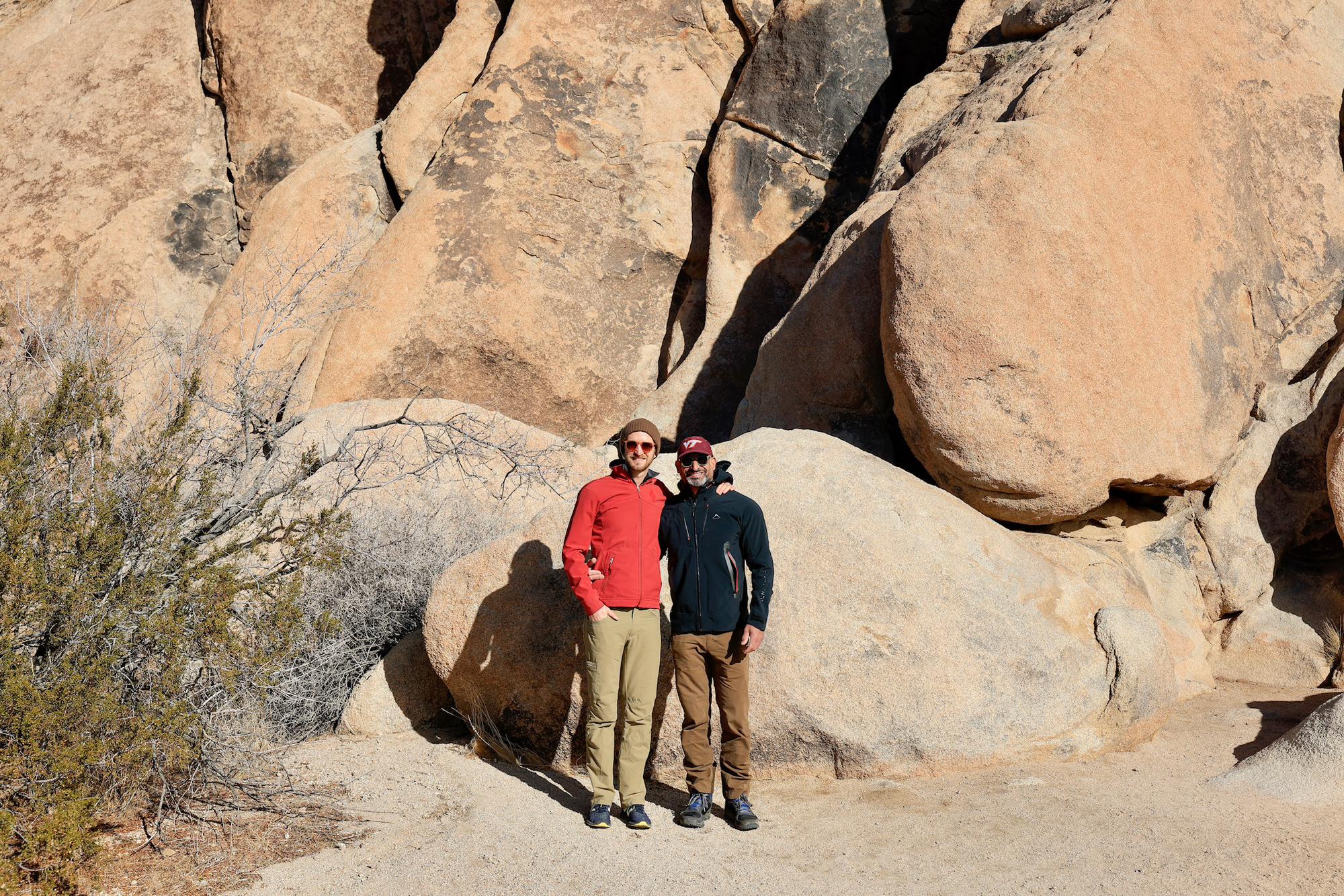 Joshua Tree