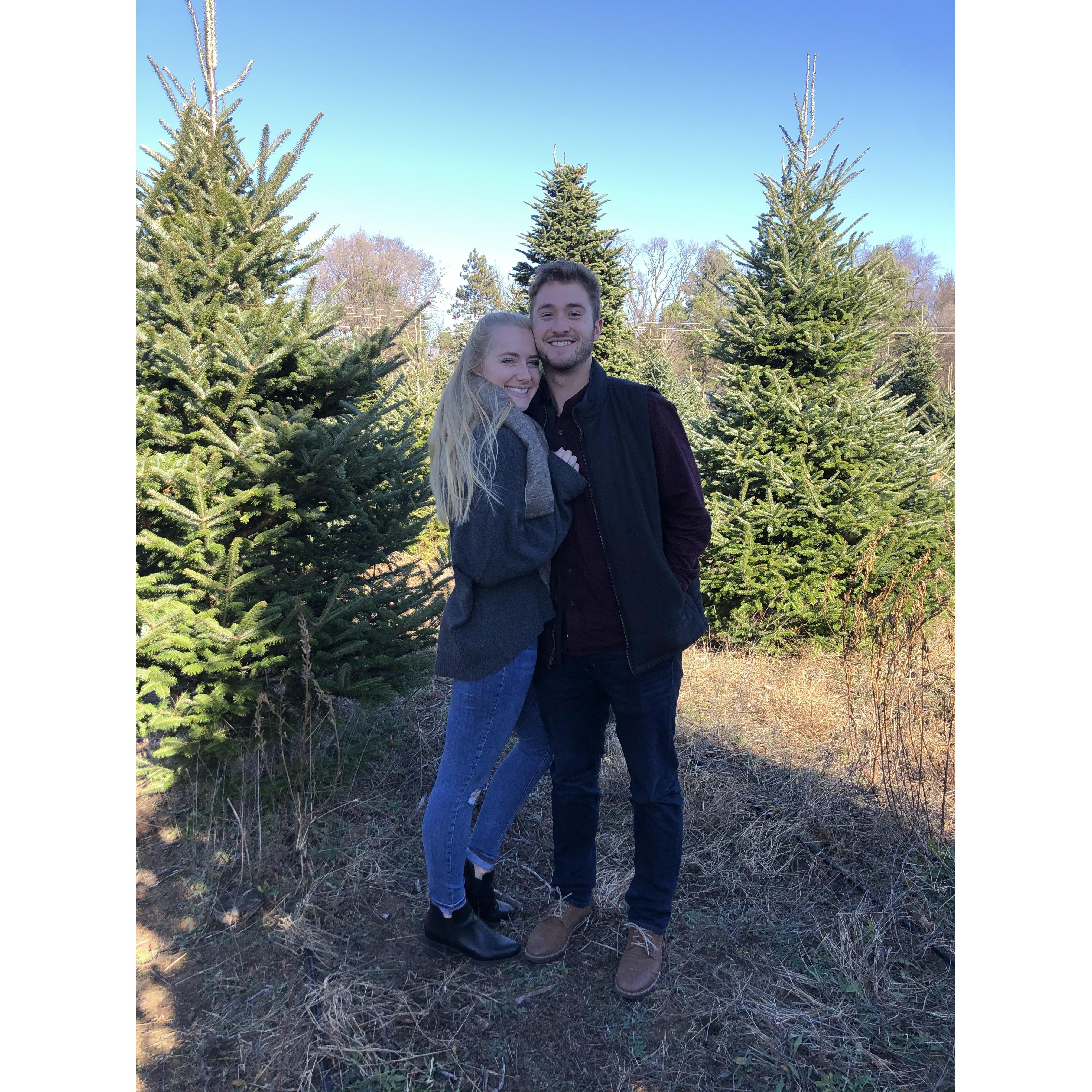 Christmas tree cutting!