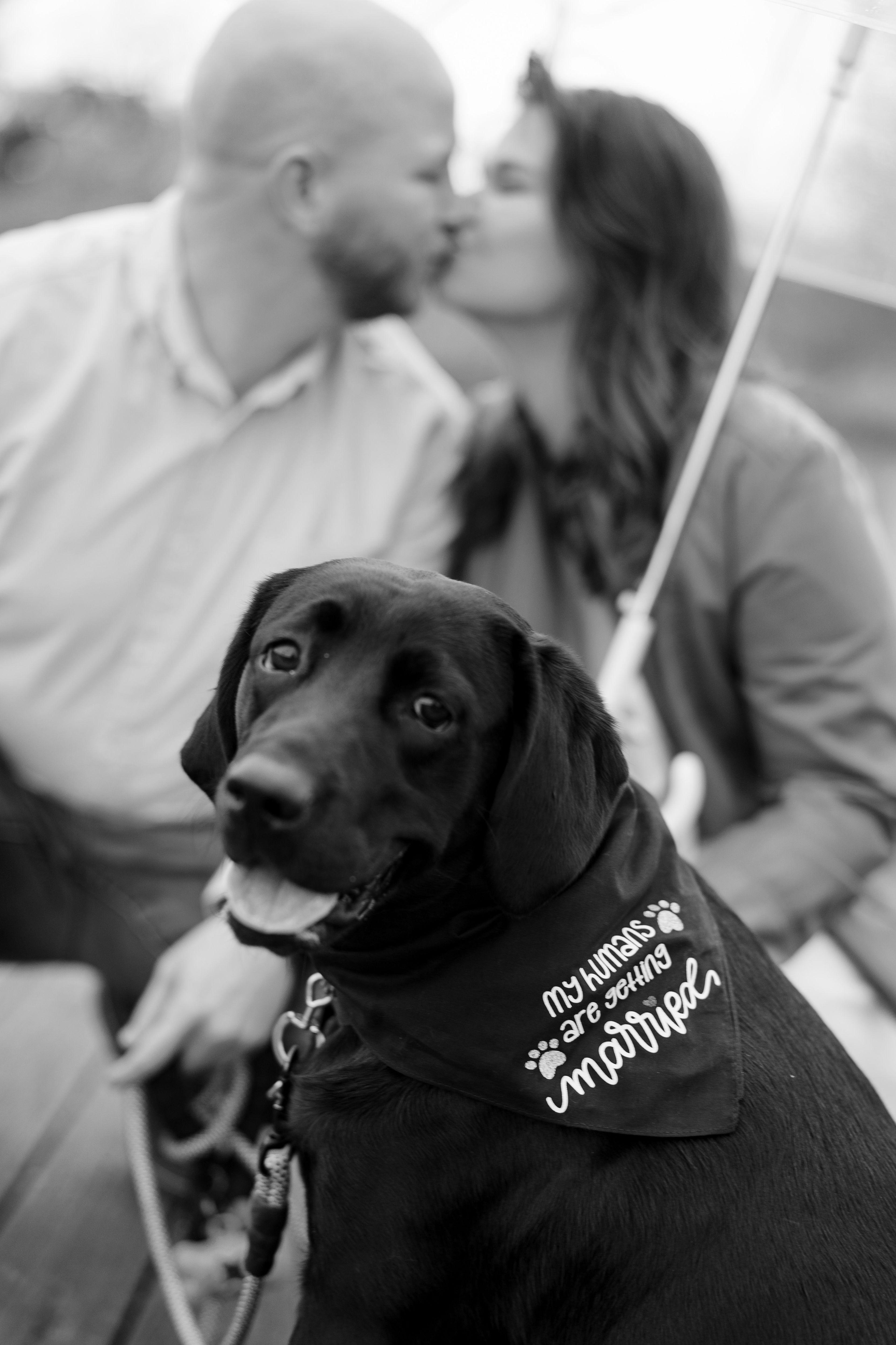The Wedding Website of Cassie Croy and Riley Sommers