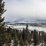 Denali National Park and Preserve