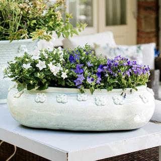 Giardino di Fiori Celadon Oval Planter